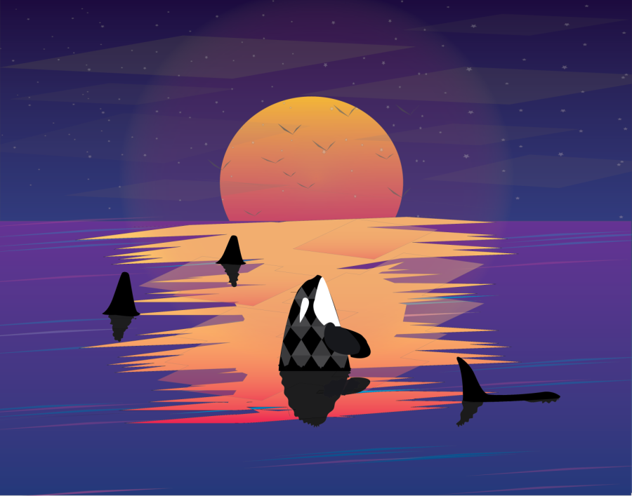 Orca Poster Design