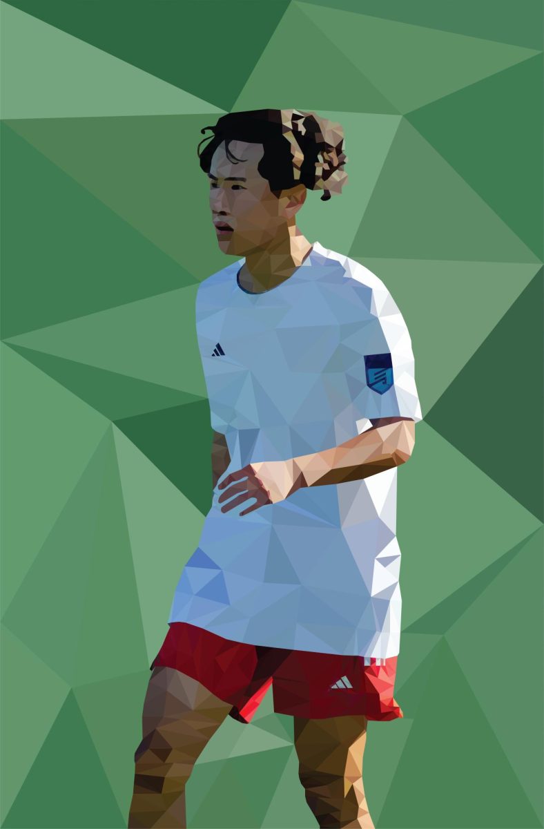 Soccer low poly design