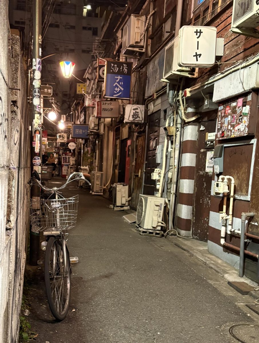 The Alleyway