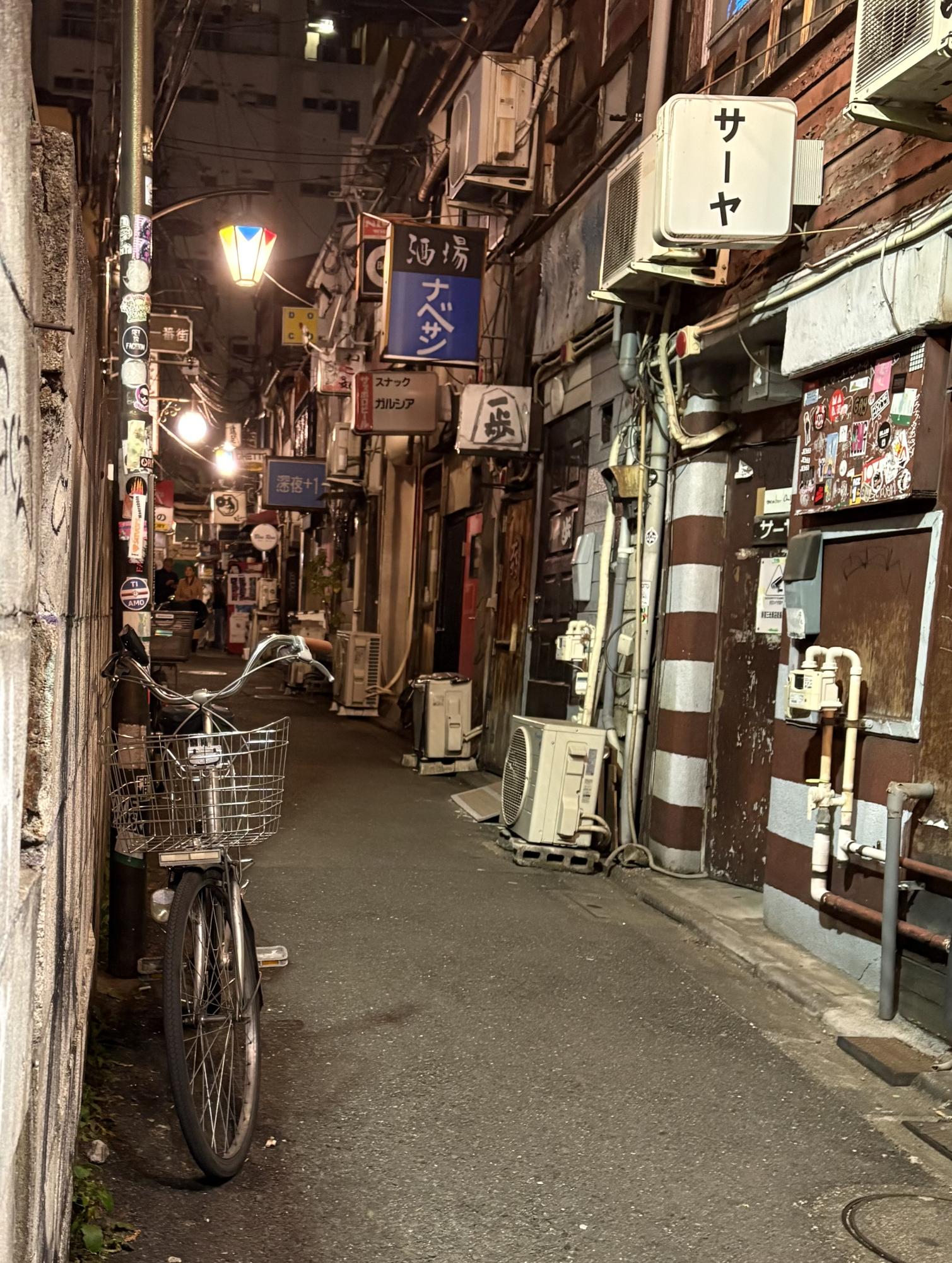 The Alleyway